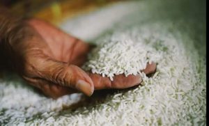 الحكومة تحذر: عقوبات بالحبس والغرامة لاحتكار الأرز وتخزينه